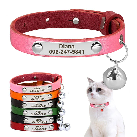 Personalized Nameplate Cat Collar Safety - ProPawPet.com