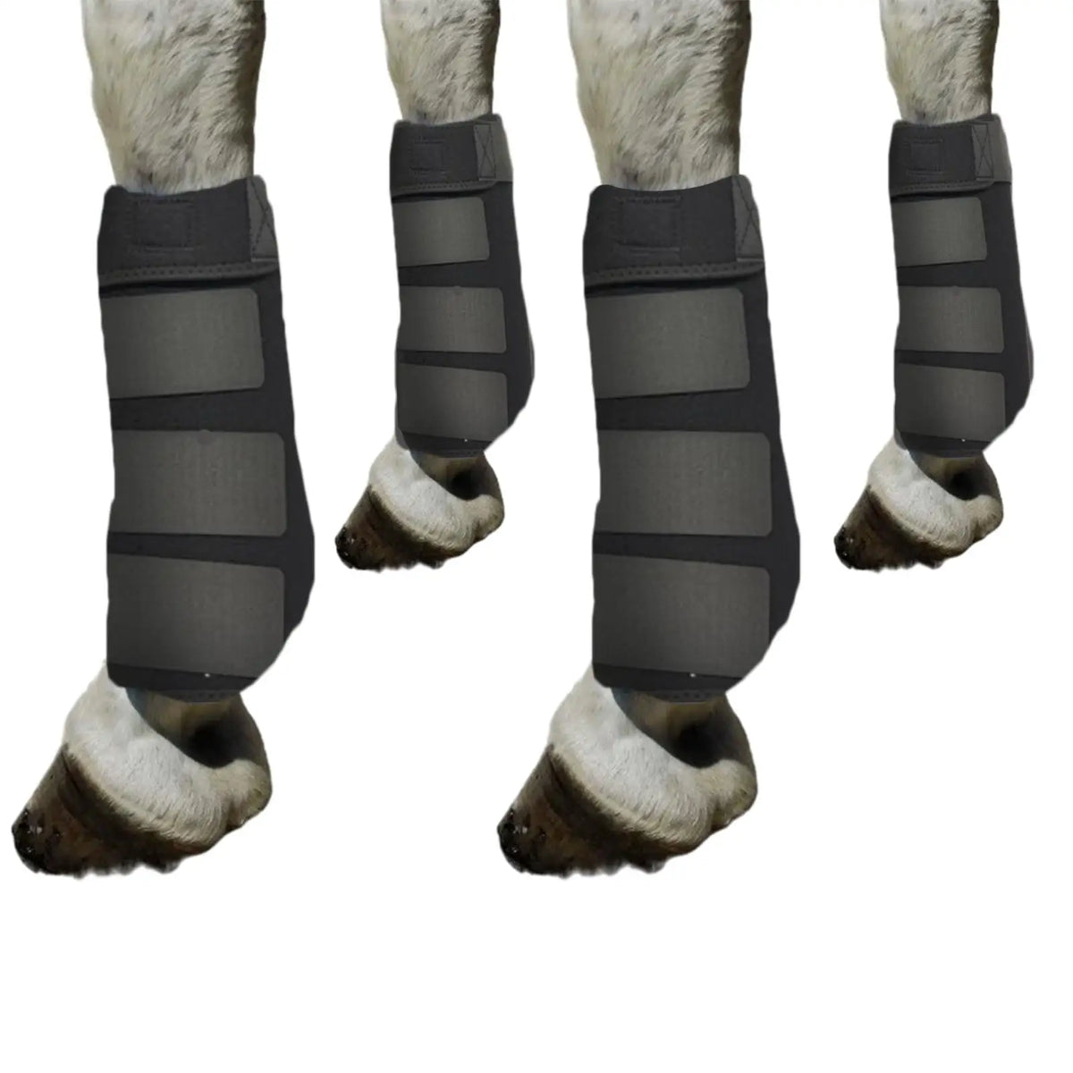 4 Pieces Horse Boots Equestrian Equipment - ProPawPet.com