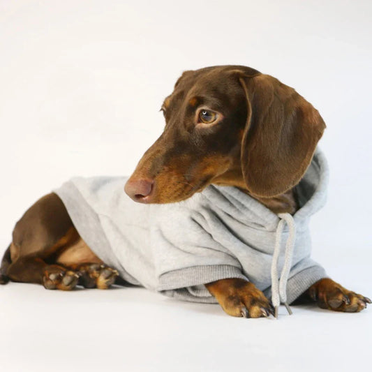 Cool Dog Sausage Hoodie for Small Dogs Warm - ProPawPet.com