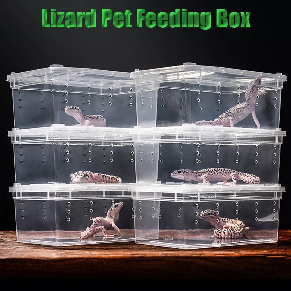 Reptile Frogs Snakes Breeding Cage - ProPawPet.com