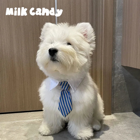 Pet Bow Tie Cats & Dogs Adjustable British - ProPawPet.com