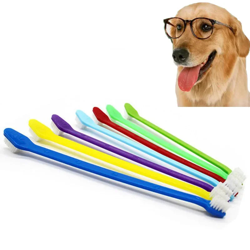1/5pcs 22cm Handle Tooth Brush For Pet Dog - ProPawPet.com
