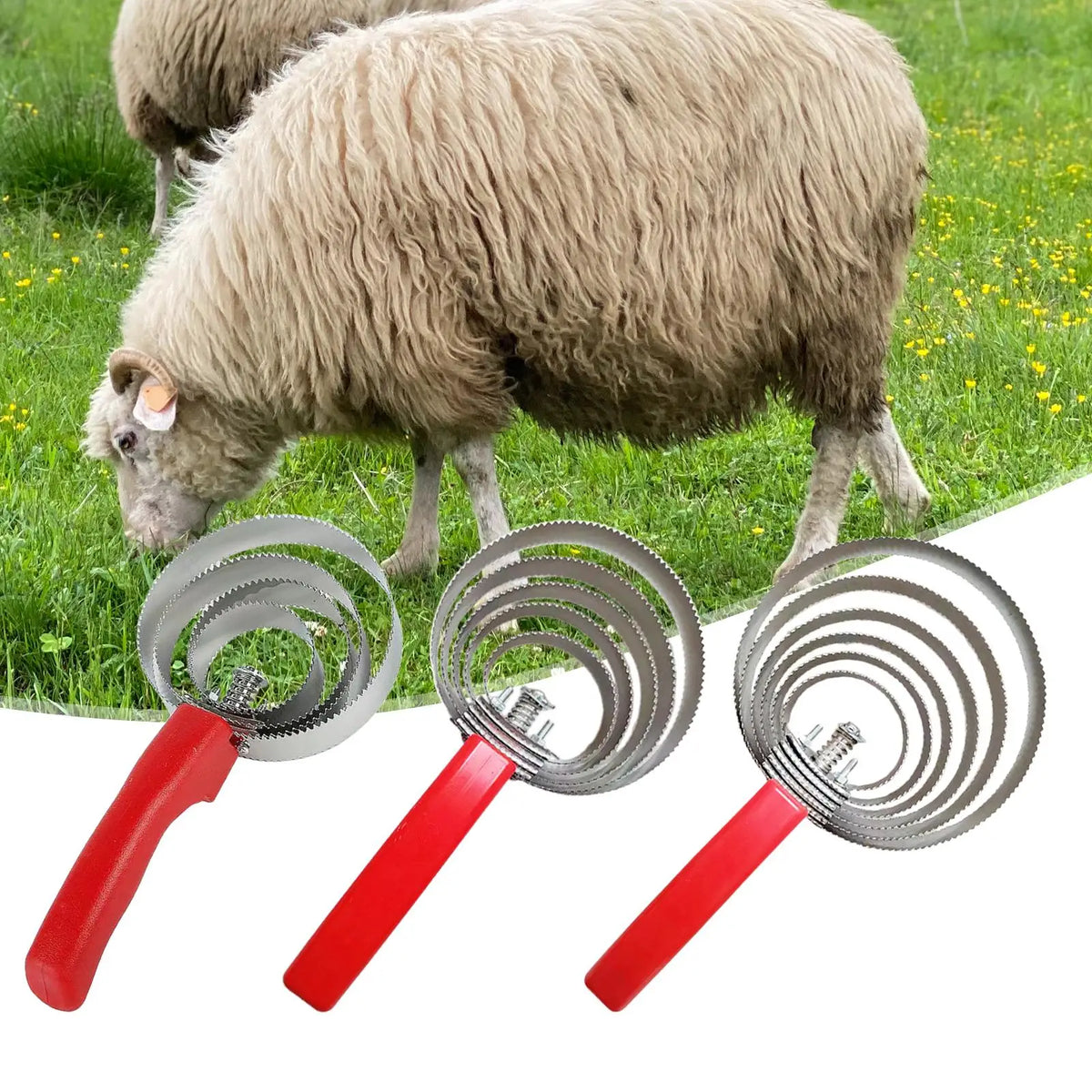 Reversible Curry Comb Multifunctional with - ProPawPet.com
