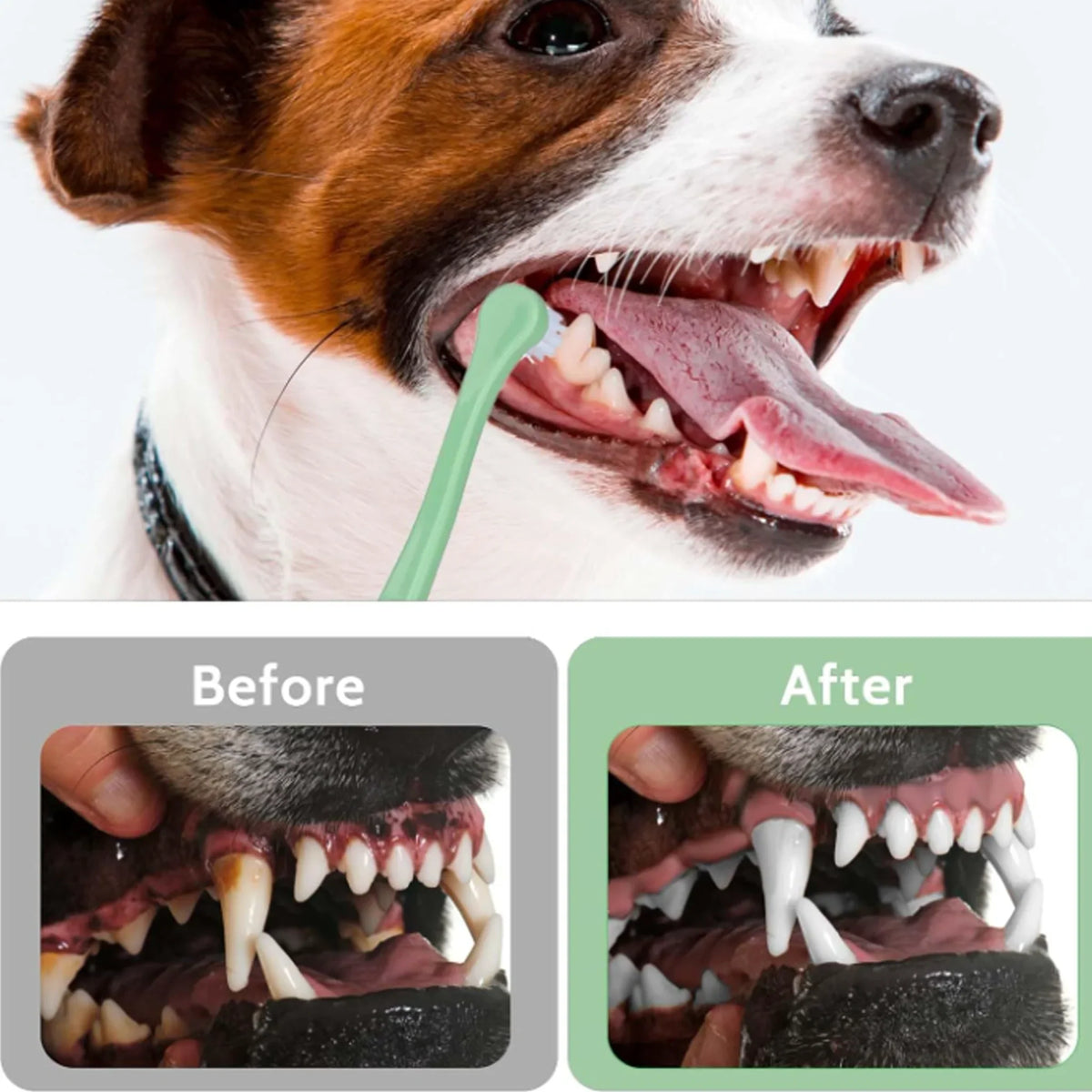 3 Pcs Pet Toothbrush Soft-bristled - ProPawPet.com