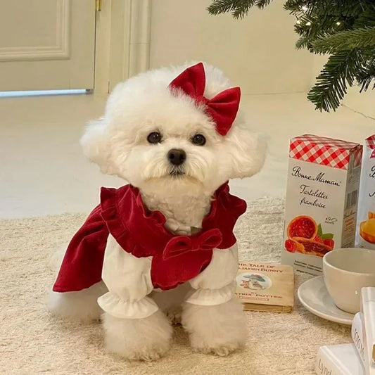 Puppy Bow Knot Dress Set Winter Warm Dog - ProPawPet.com