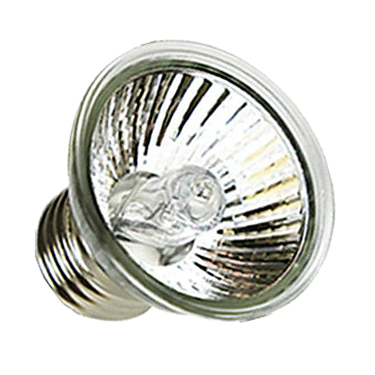25 50w UVA UVB Reptile Lamp – 4 Colors