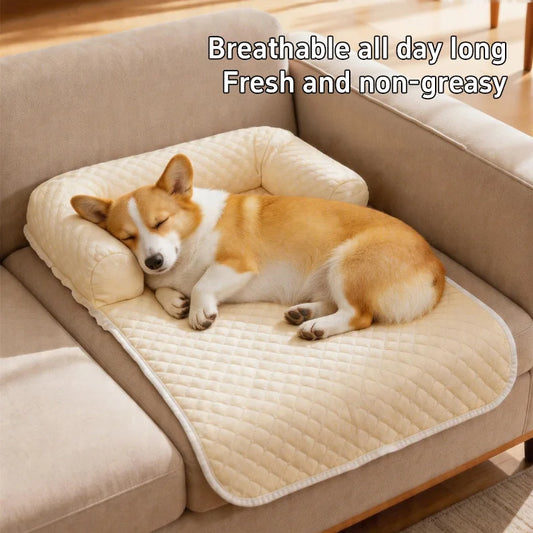 Removable Washable Dog House Summer Cool Mat - ProPawPet.com