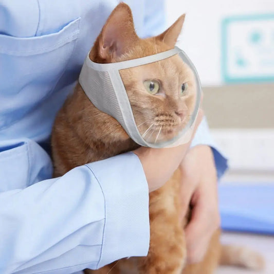 Pet Muzzle Anti-bite Adjustable Breathable - ProPawPet.com