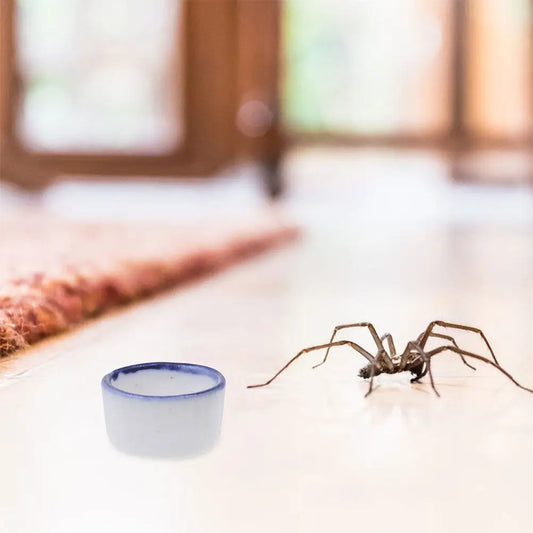12Pcs Micro Ceramic Water Dish for Spiders - ProPawPet.com
