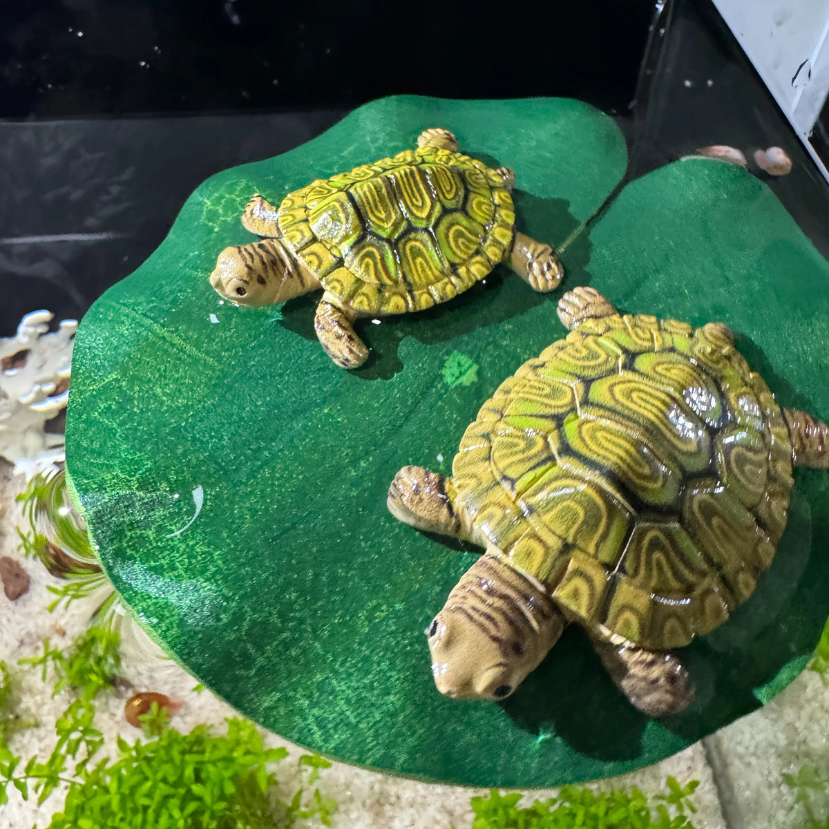 Cute Turtle Family Floating Ornaments 5-Pack - ProPawPet.com