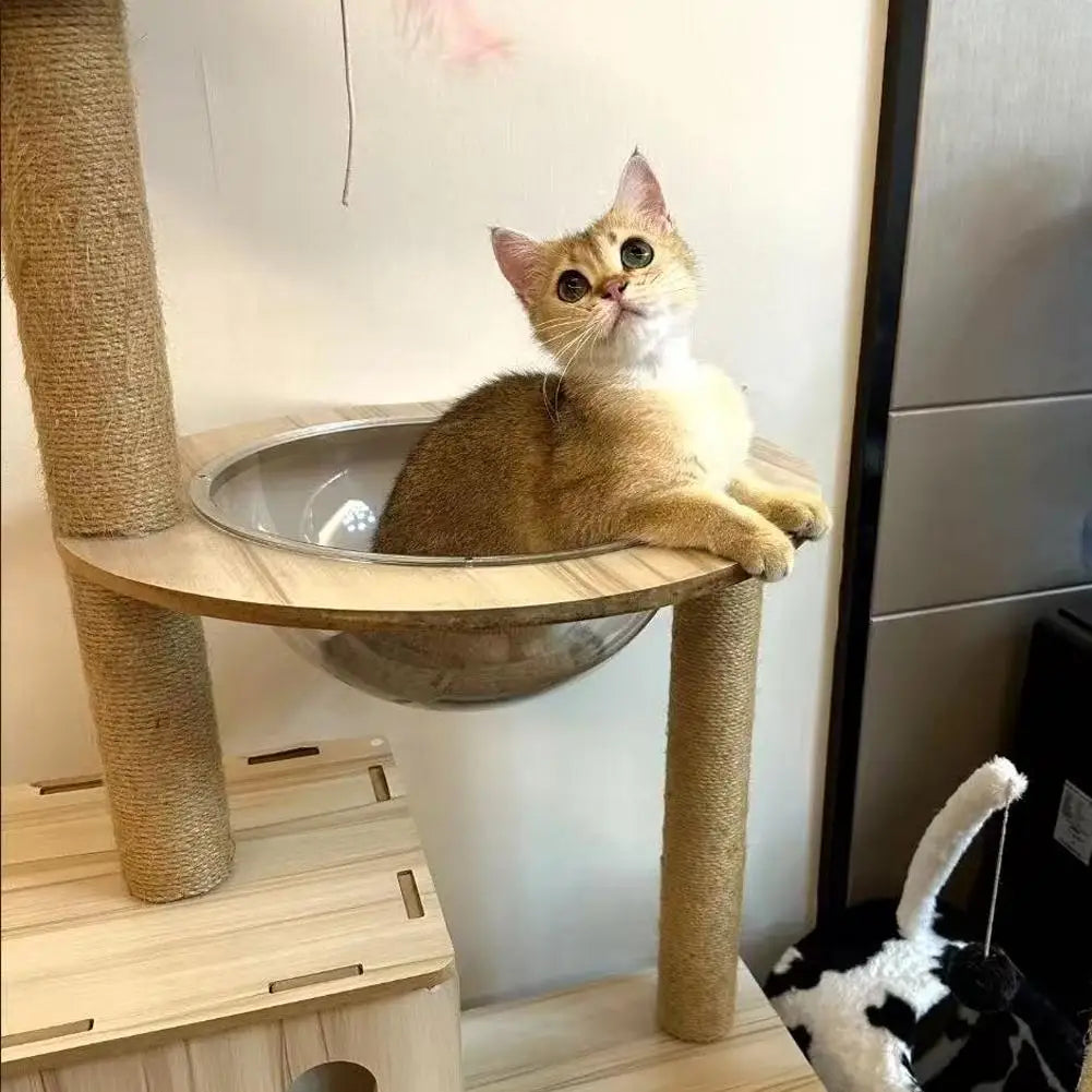 15/20/30/40/50cm Natural Sisal Cat - ProPawPet.com