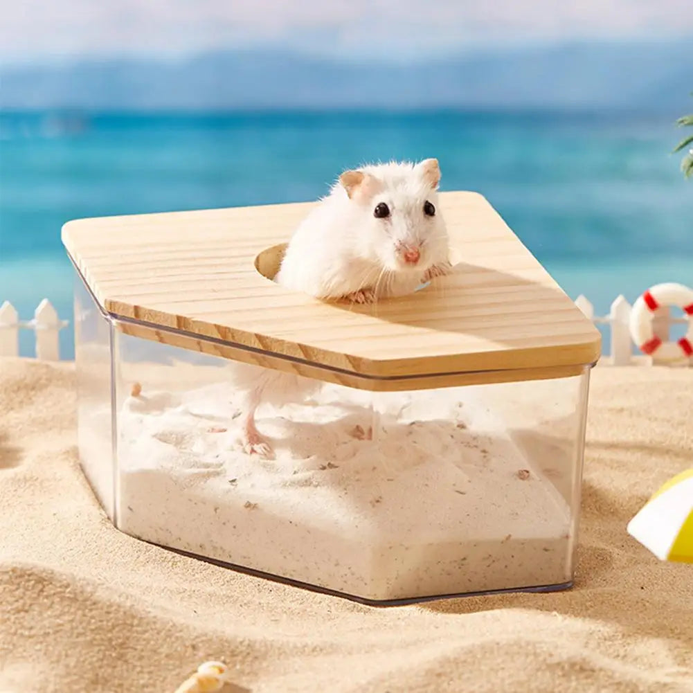 Acrylic Fully Transparent Large Pet Hamster - ProPawPet.com
