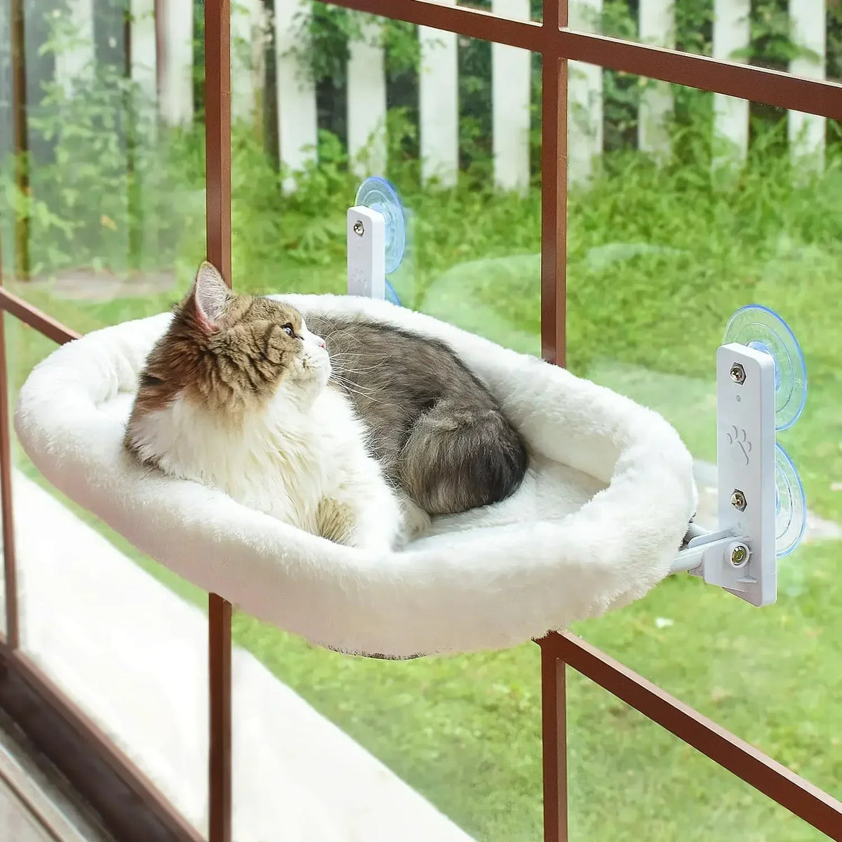 Cat Hammock Window Habitat Cat Sunbathing - ProPawPet.com