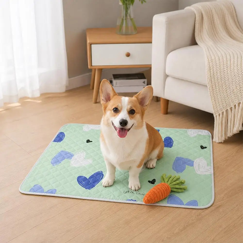 1pc Reusable Pet Urine Pad Wear Resistant - ProPawPet.com