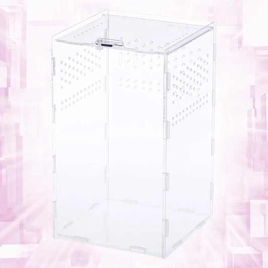 Premium Acrylic Reptile Breeding Box Insect - ProPawPet.com