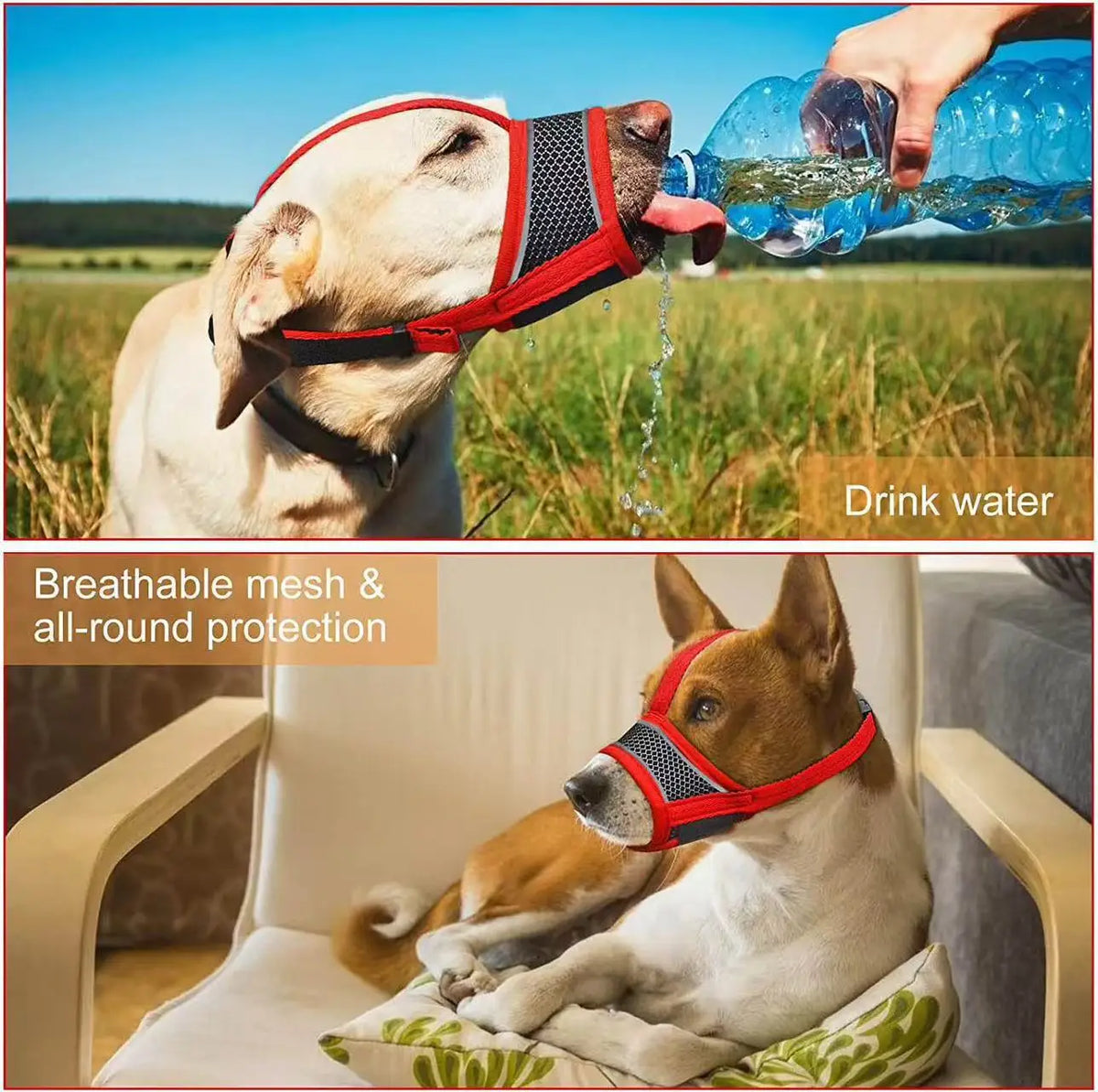 Dog Muzzle Breathable Drinkable Mesh Muzzle - ProPawPet.com