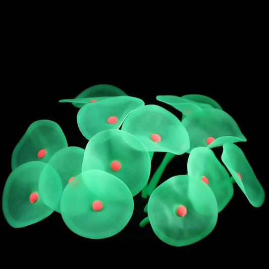 Aquarium Decoration Silicone Fluorescent - ProPawPet.com