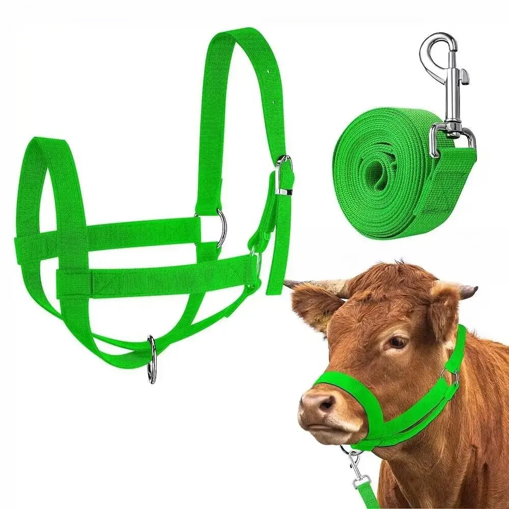 Adjustable Cow Halter with Lead Nylon - ProPawPet.com