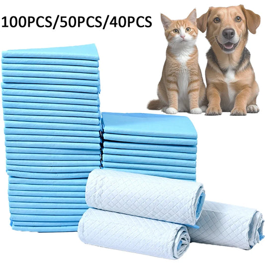 100 50 40 Absorbent Dogs Diapers