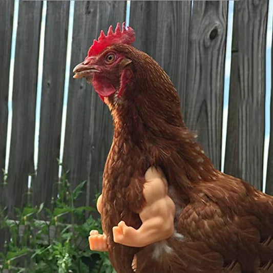 Chicken Arm Decoration Chicken Forelimb - ProPawPet.com