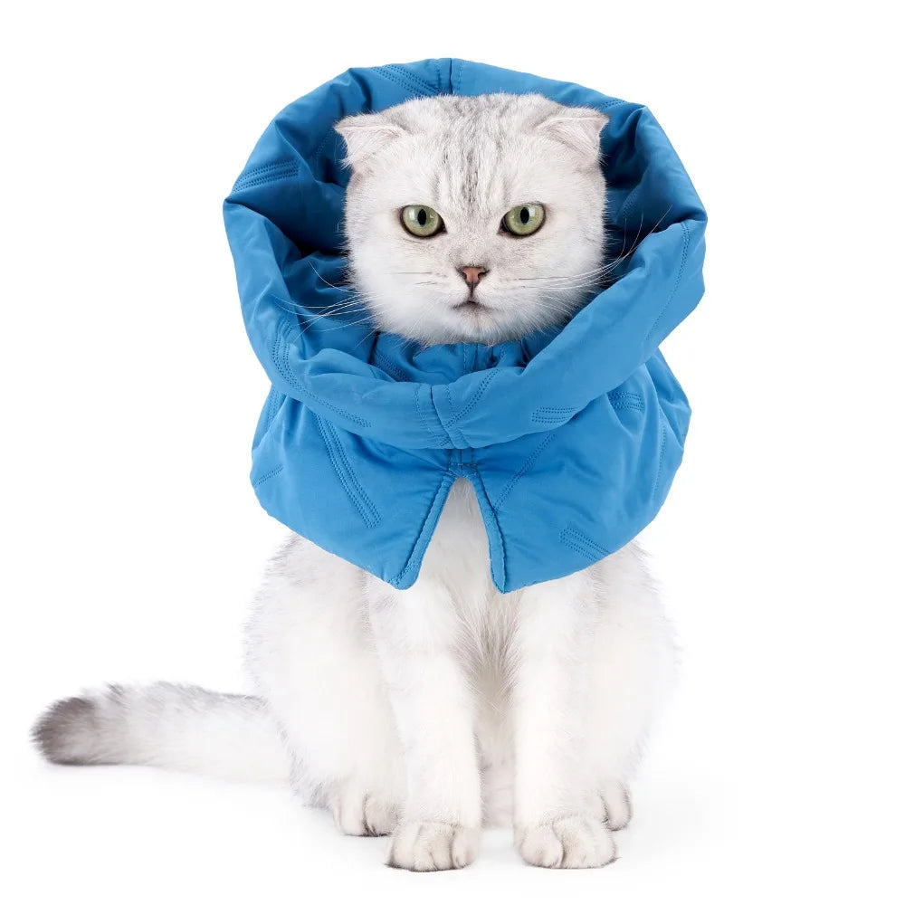 Cute Pet Collar Adjustable Comfortable Cat Elizabethan – Multiple Sizes & Colors