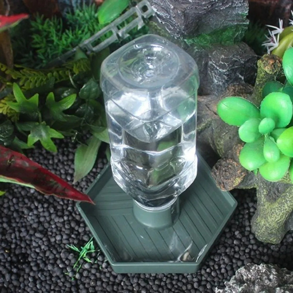 Pet Supplies Anti-slip Reptiles Water Feeder - ProPawPet.com
