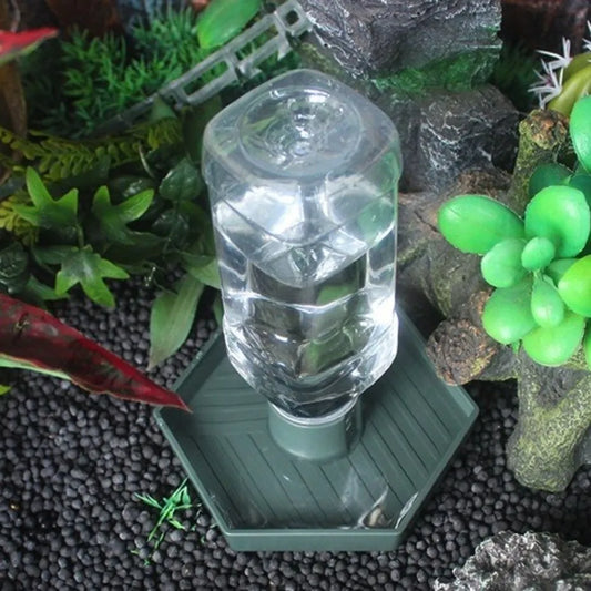 Pet Supplies Anti-slip Reptiles Water Feeder - ProPawPet.com