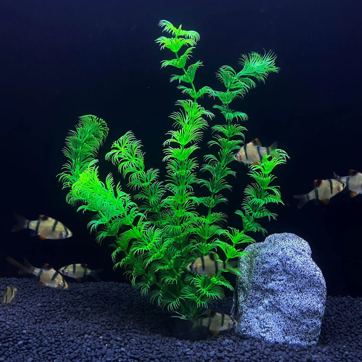30cm High Aquarium Simulated Water Plants – 7 Colors