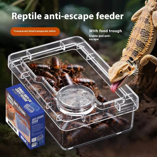 【E】Pet Reptile Lizard Turtle Transparent - ProPawPet.com