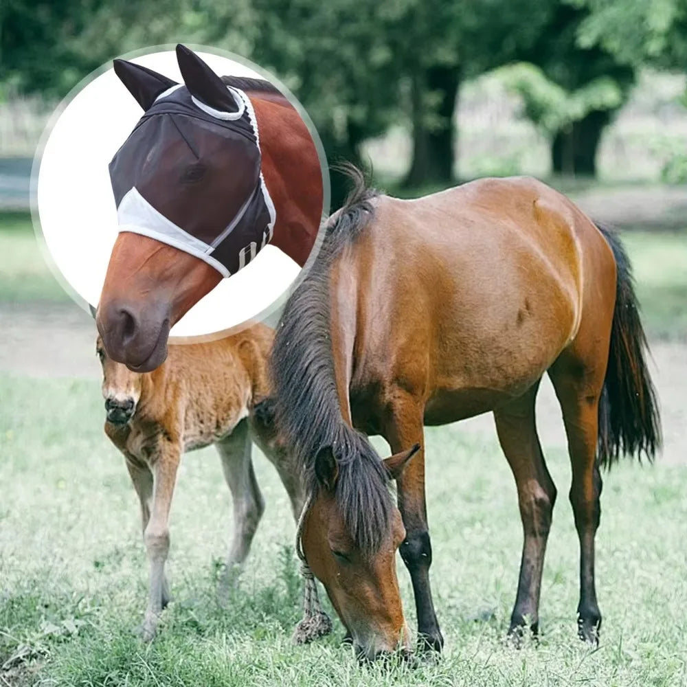 Equestrian Professional Horse Fly Mask - ProPawPet.com