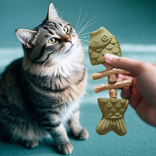 1Pc New Creative Fish Bone Cat Toy Wooden - ProPawPet.com