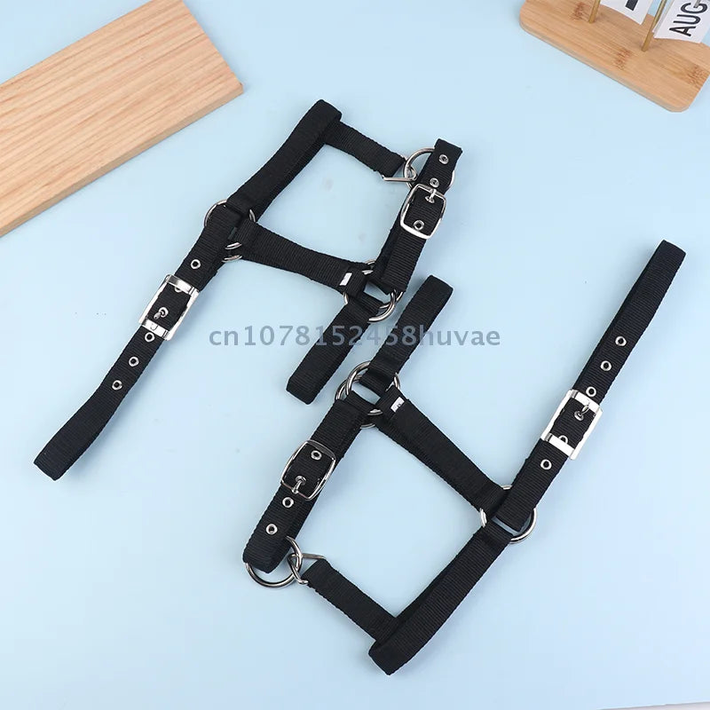 1 Pc Adjustable Nylon Webbing Equestrian - ProPawPet.com