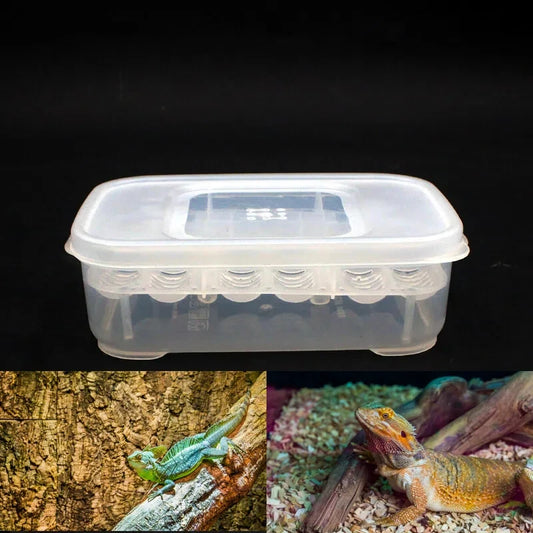 12 Grids Hatch Box Snake Lizard Reptile Egg - ProPawPet.com