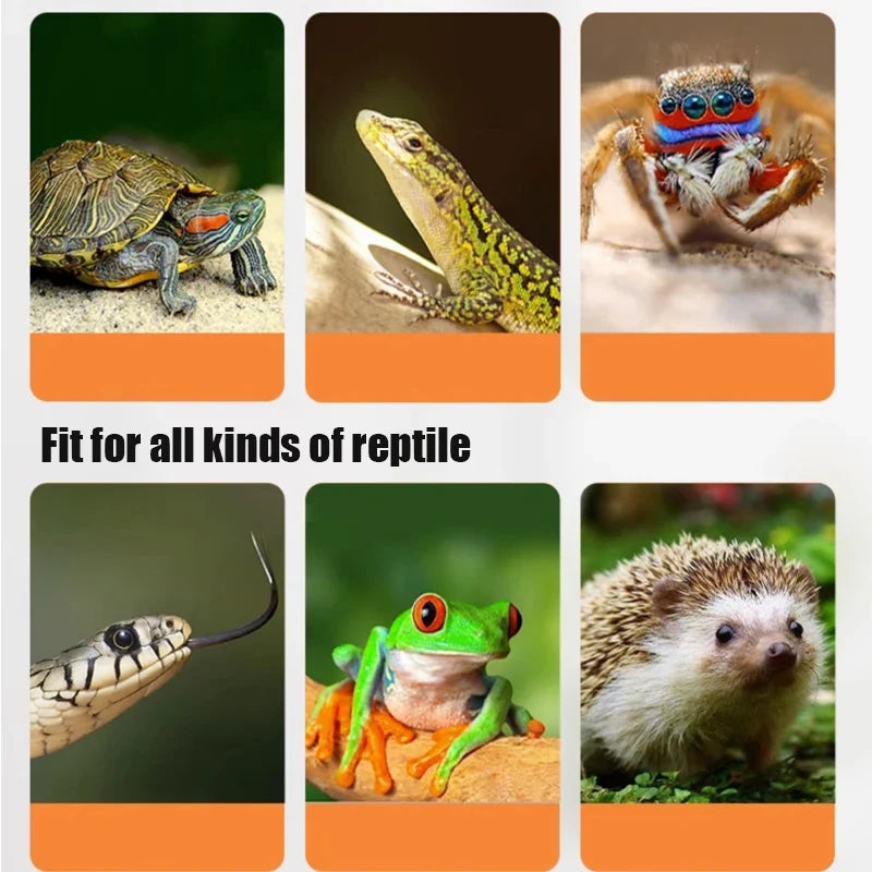 220V Turtle Basking Lamp With 25\50\75W - ProPawPet.com