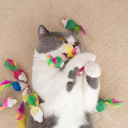 50/5Pcs Plush Cat Mouse Toys Colorful - ProPawPet.com