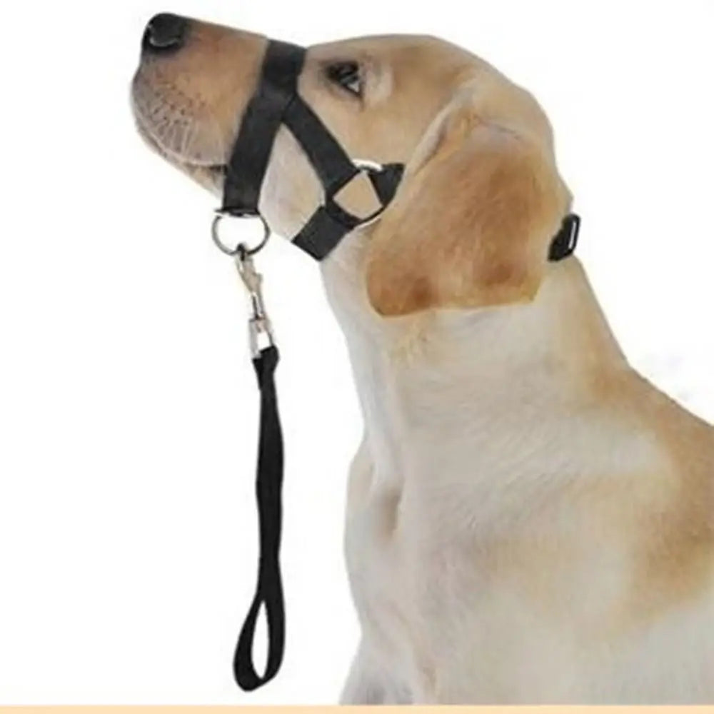 Adjustable Training Leash Anti barking Dog - ProPawPet.com