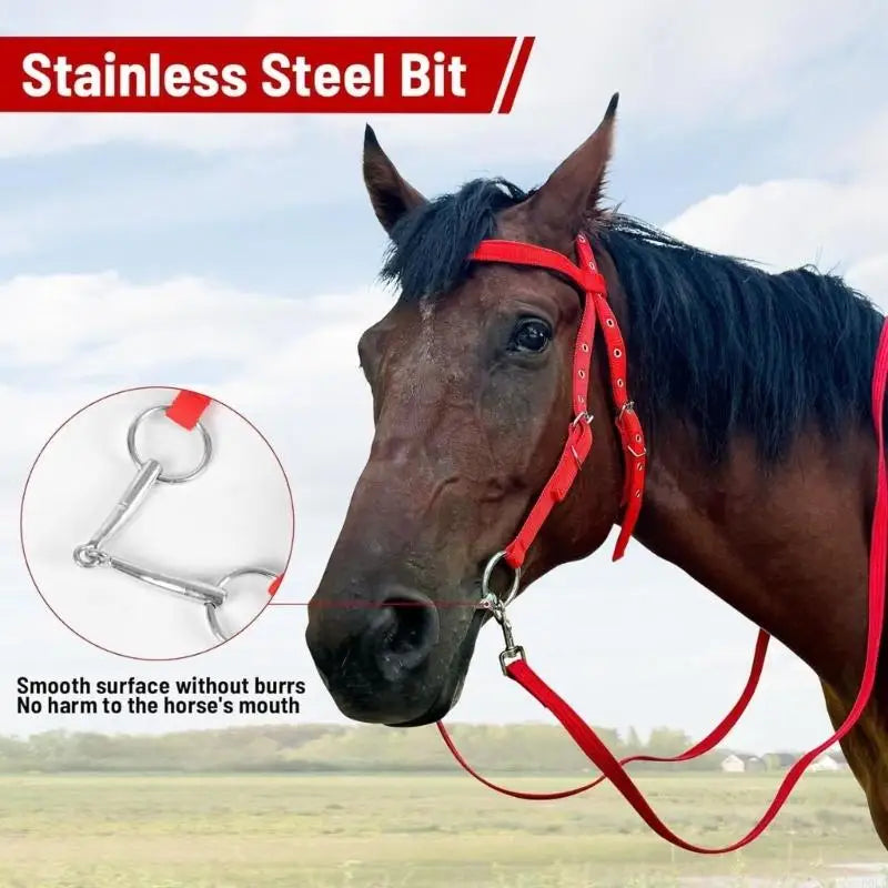 Comfortable Luxurious Leather Horse - ProPawPet.com
