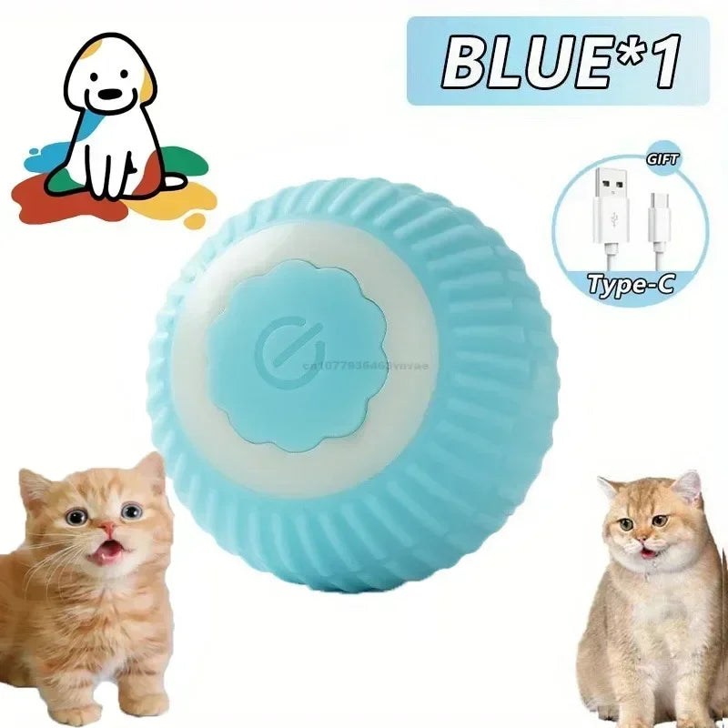 Interactive Rolling Cat Ball Dog Toy Rolling - ProPawPet.com