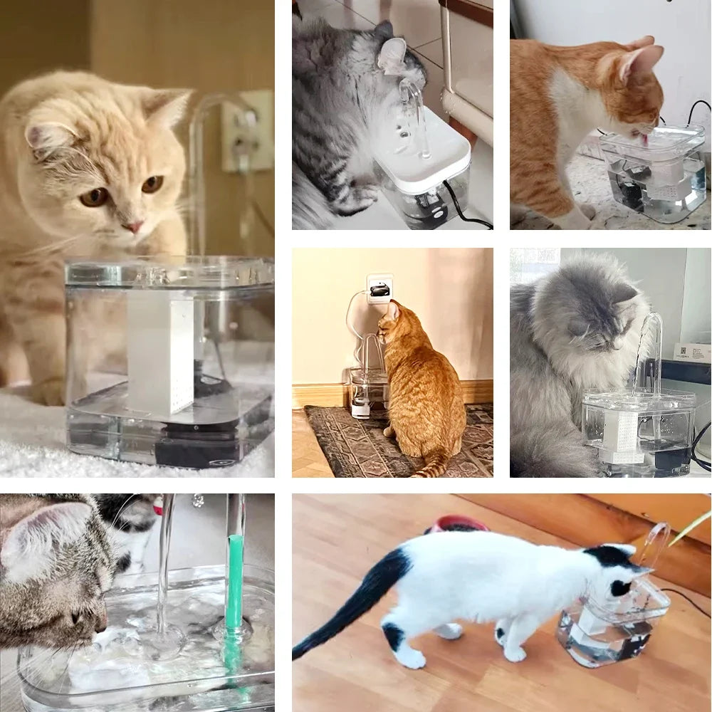 Cat Water Fountain Auto Filter Transparent - ProPawPet.com
