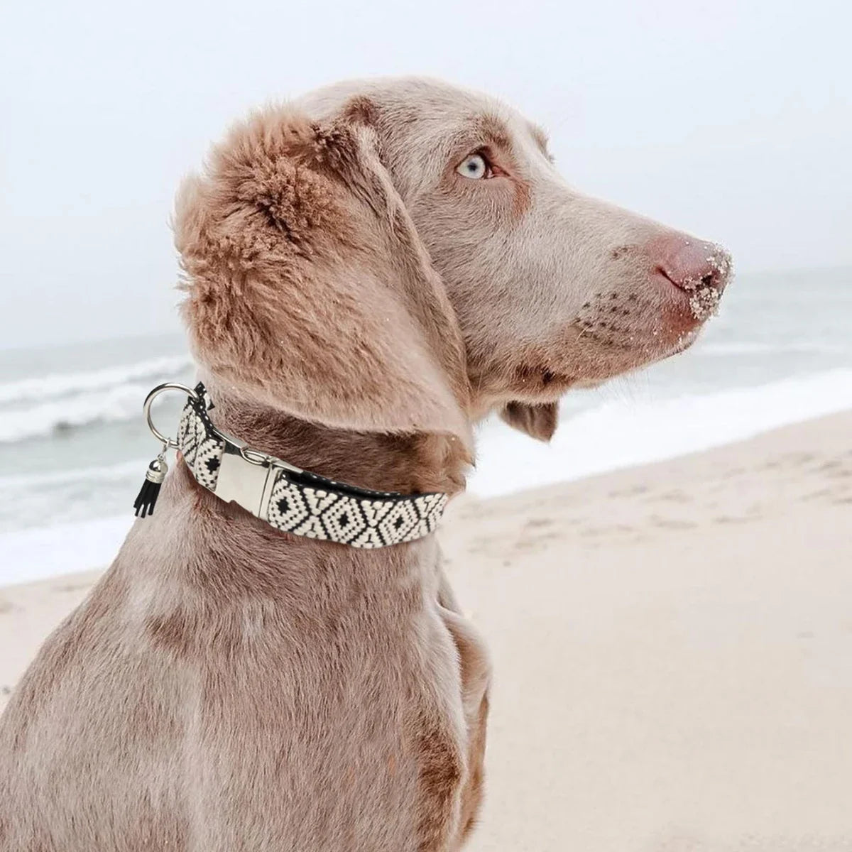 Bohemian Ethnic Style Pet Collars For Small - ProPawPet.com