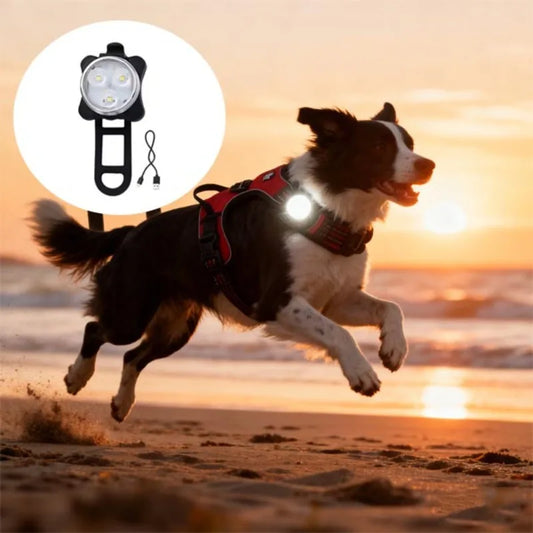 Portable Pet Safety Led Light 4 Modes USB - ProPawPet.com