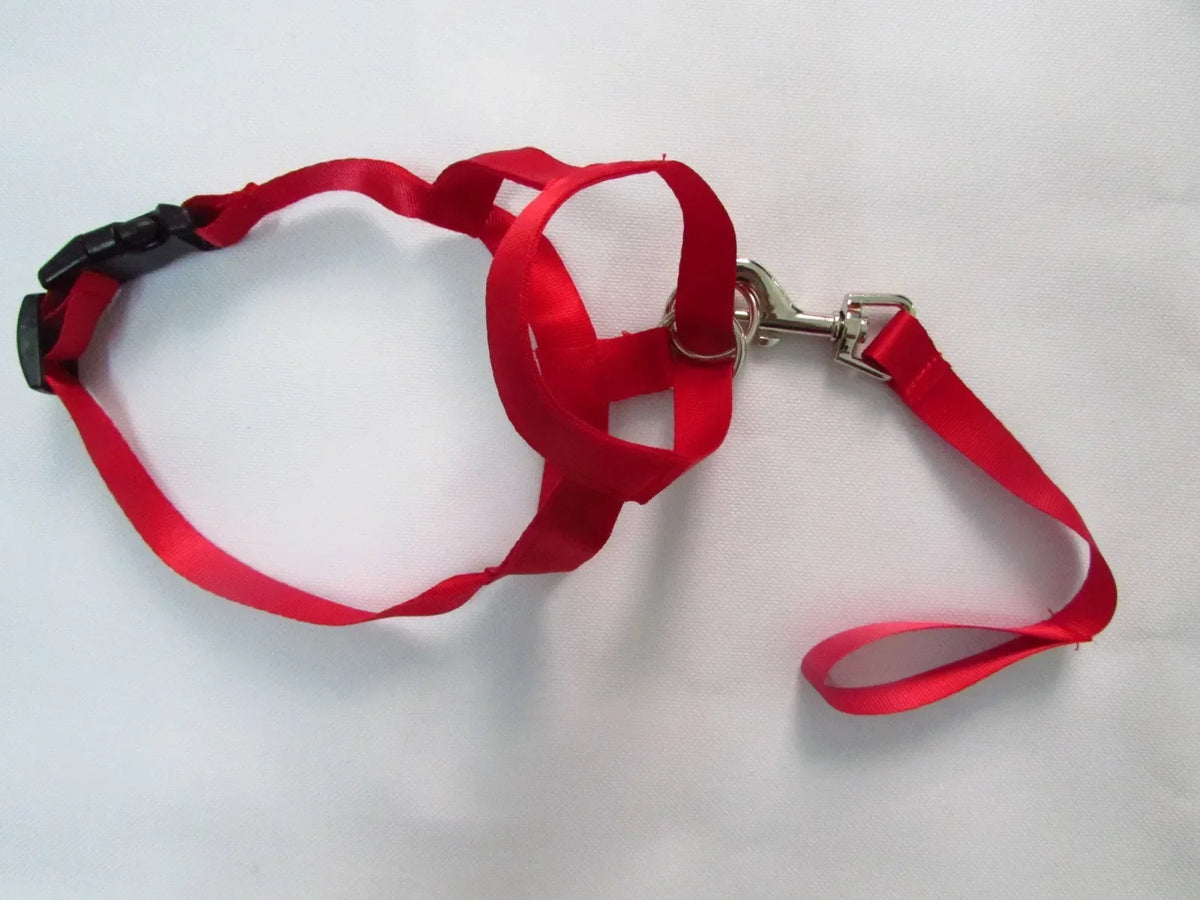 New Nylon Dog Muzzle Dogalter Dog Halter - ProPawPet.com