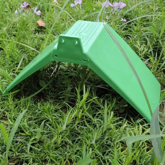 10 pcs Rest Stand Bird Perches for Pigeon - ProPawPet.com