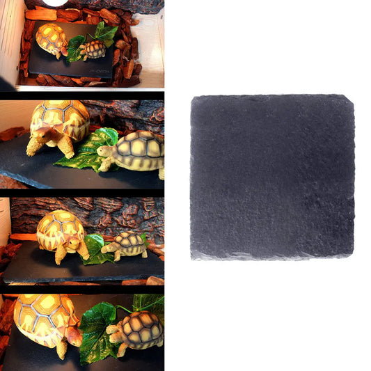 Turtle Reptile Rock Plate 10x10cm Natural - ProPawPet.com
