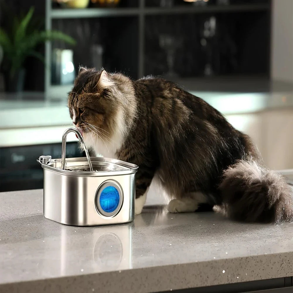 3.2L Stainless Steel Pet Water Feeder Auto - ProPawPet.com