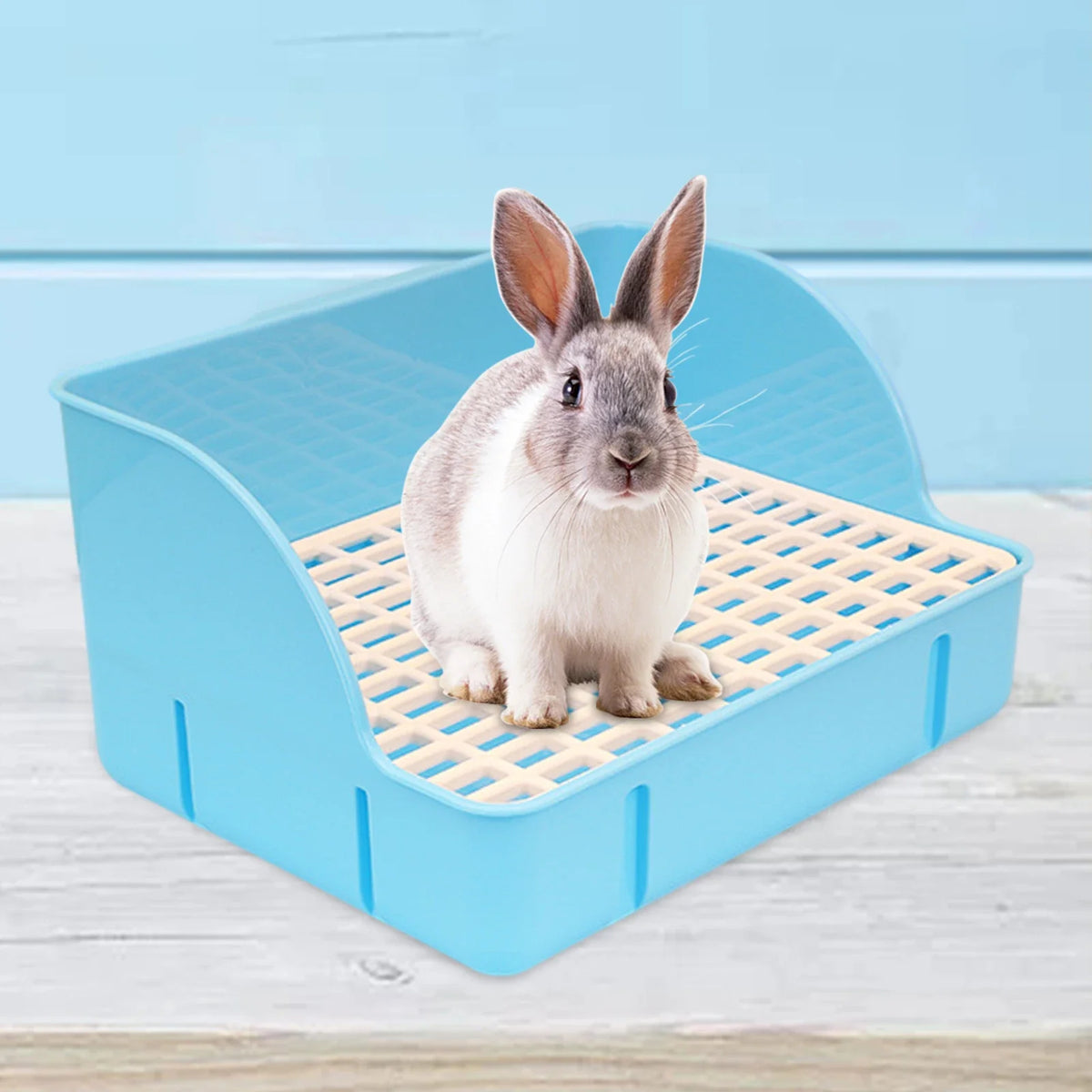 Rabbit Litter Box Pee Pan Tray Pet Toilet - ProPawPet.com