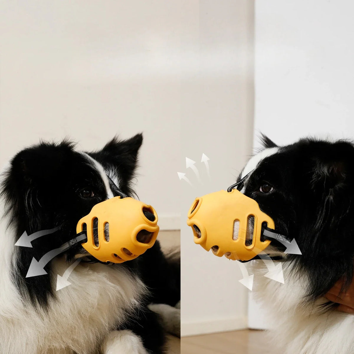 Reflect Light Dog Mouth Guard Cover Comfy - ProPawPet.com
