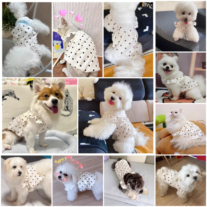 Cute Pet Dog Dress Dot Dog Summer Clothes - ProPawPet.com