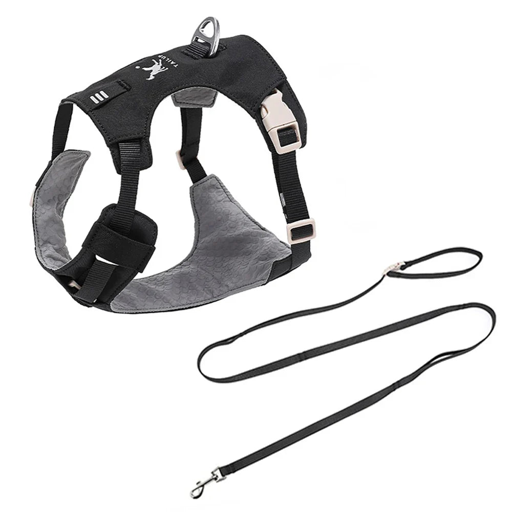 Lightweight Dog Harness & Leash Set - ProPawPet.com