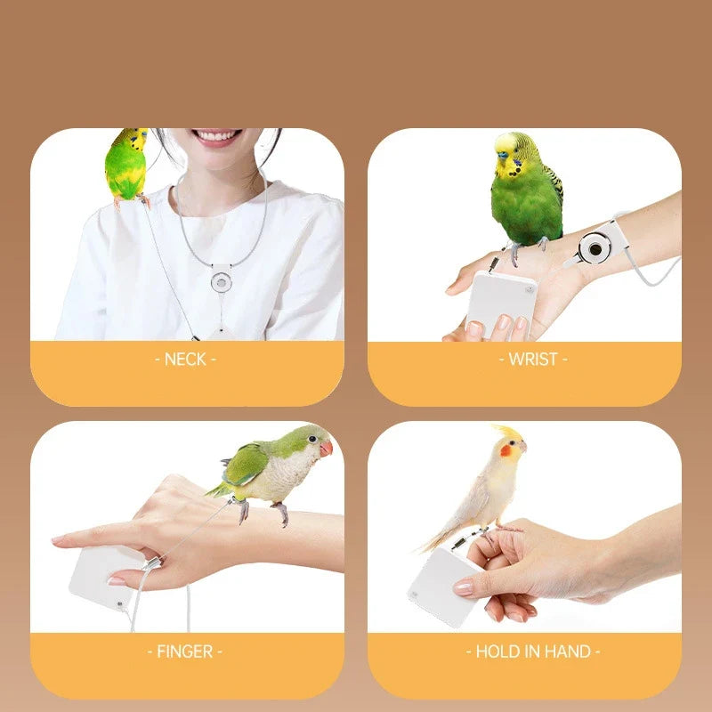 Cockatiel Harness And Leashes 2M Conures - ProPawPet.com